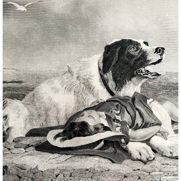Dog Saves Drowning Boy Engraving 1859 Victorian Animal Seaside Art DWY5F - Picture 1 of 2